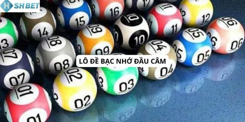 Những lưu ý khi chơi bạc nhớ cho người mới
